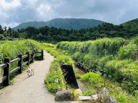 頂湖環狀步道(圖片來源：臺北市政府工務局大地工程處)