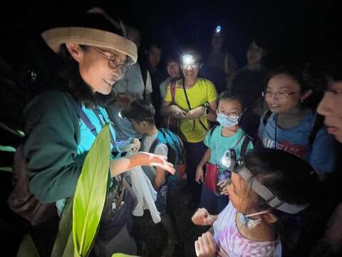 楊懿如老師以斑腿樹蛙為例讓參與學員觀察樹蛙的吸盤、蹼等特徵。(圖片來源：臺北市青少年發展暨家庭教育中心)