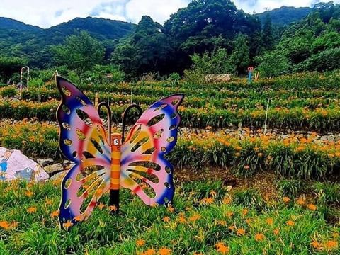 搭乘台灣好行「北投-北投竹子湖線」，就能輕鬆欣賞竹子湖金黃花海。(圖片來源：臺北市政府觀光傳播局)