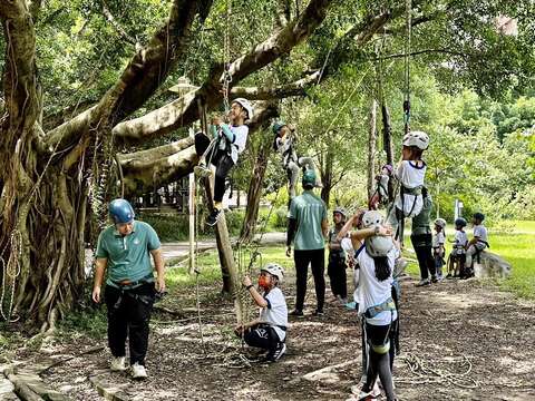 樹藝區的攀樹活動(圖片來源：臺北市政府客家事務委員會)
