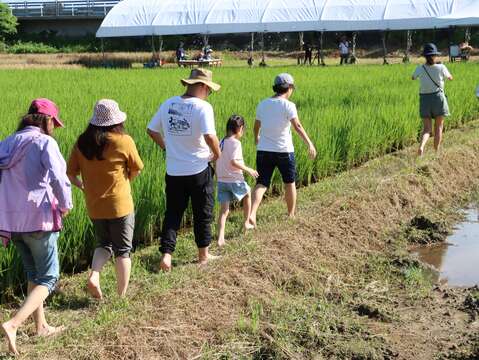 產業發展局辦理多項活動，引領臺北市民走進關渡體驗(圖片來源：臺北市政府產業發展局)
