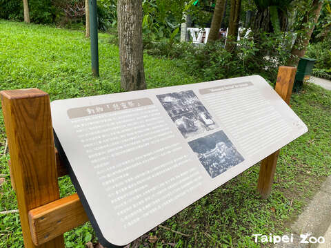 動物園辦理慰靈祭最早可以追溯到1924年(圖片來源：臺北市立動物園)