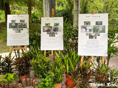 藉著慰靈祭感念曾經在動物園裡陪伴帶給我們許多學習與反思的動物們(圖片來源：臺北市立動物園)