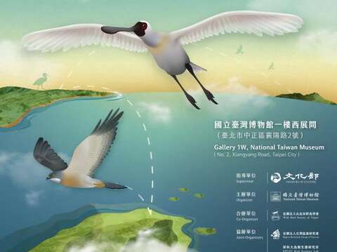 Across The Ocean – Taiwan’s Migratory Birds