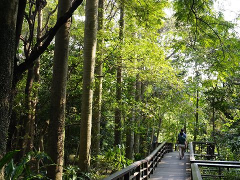 位在城南的臺北植物園為城南一帶增添悠閒、綠意氛圍。(圖片來源：臺北市政府觀光傳播局)