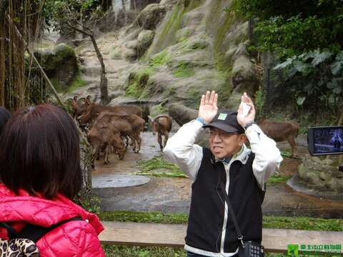 10月7、8日將有保育員見面會活動，由保育員、獸醫分享照顧動物的點滴(圖片來源：臺北市立動物園)