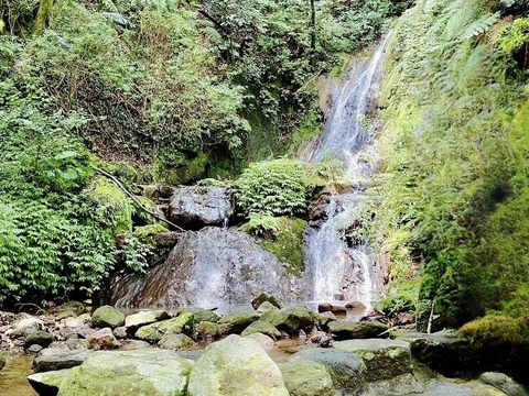 綠色樂活主題第一名-小隱潭瀑布（圖片來源：投稿民眾提供）