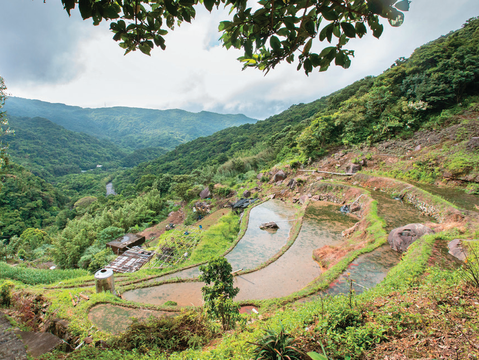 P06-09 大地系農遊-2