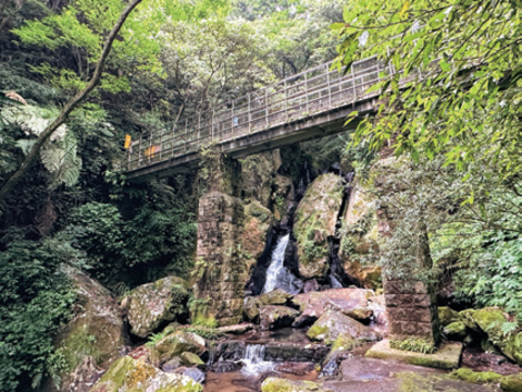 台灣好行「北投——竹子湖線」三大遊程主題