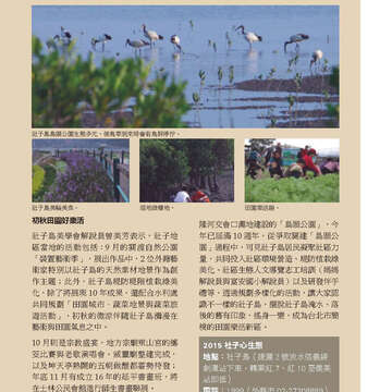 臺北畫刊572期(104年09月)_45