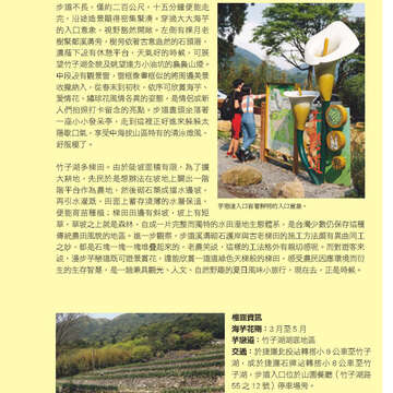 臺北畫刊568期(104年05月)55