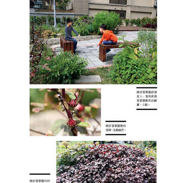 臺北畫刊567期(104年04月)-25