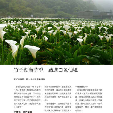 臺北畫刊566期(104年03月)-38