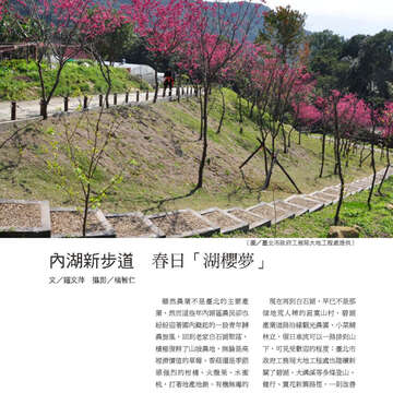 臺北畫刊566期(104年03月)-60