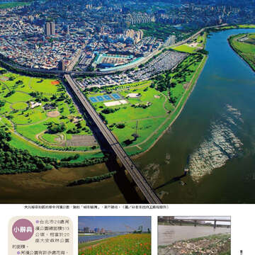 臺北畫刊562期(103年11月)-21