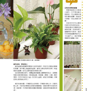 臺北畫刊560期(103年09月)-79