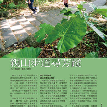 臺北畫刊559期(103年08月)-19