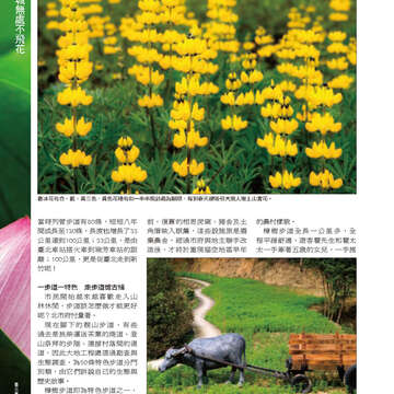 臺北畫刊559期(103年08月)-20