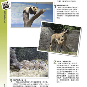 臺北畫刊558期(103年07月)-54