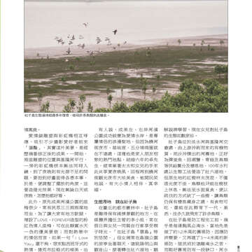 臺北畫刊556期(103年06月)-13