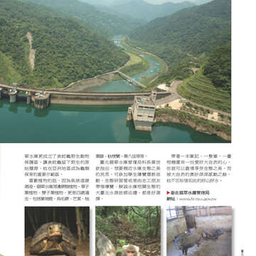 臺北畫刊556期(103年06月)-21