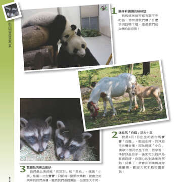 臺北畫刊556期(103年06月)-60