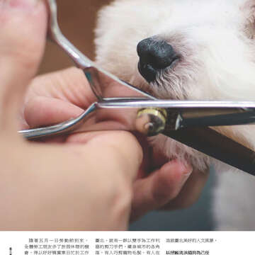 臺北畫刊556期(103年05月)-28