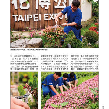 臺北畫刊556期(103年05月)-31