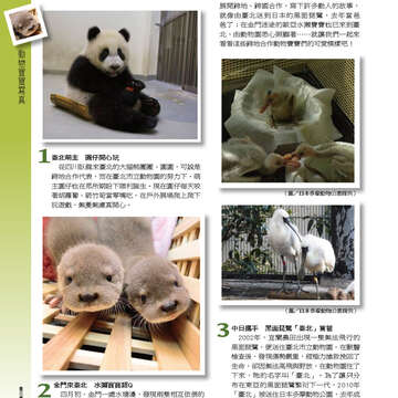 臺北畫刊556期(103年05月)-60