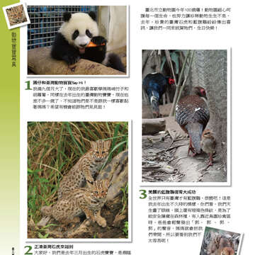 臺北畫刊555期(103年04月)48