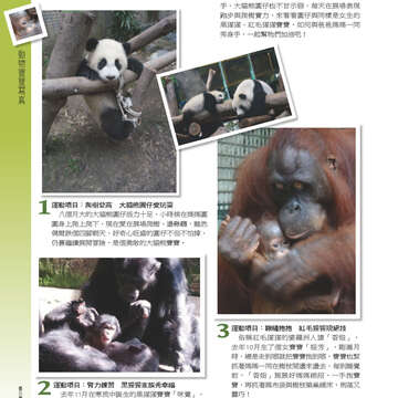 臺北畫刊554期(103年03月)-56
