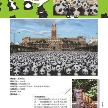 臺北畫刊554期(103年03月)-65