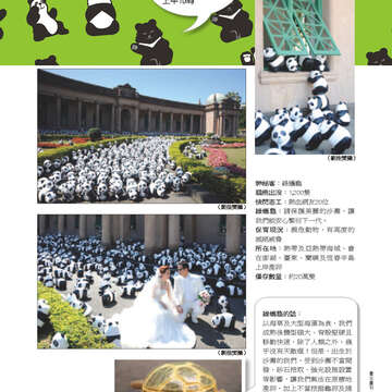 臺北畫刊554期(103年03月)-67