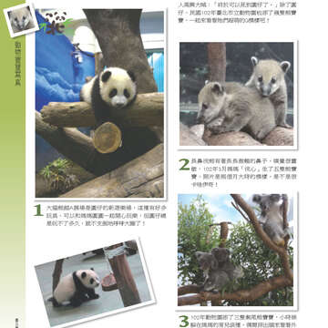 臺北畫刊553期(103年02月)-54