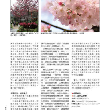 臺北畫刊553期(103年02月)-58