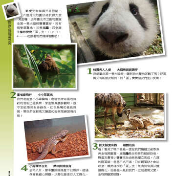 臺北畫刊552期(103年01月)-57