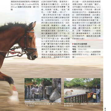 臺北畫刊552期(103年01月)-60