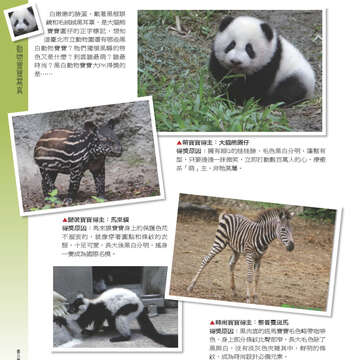 臺北畫刊551期(102年12月)-55