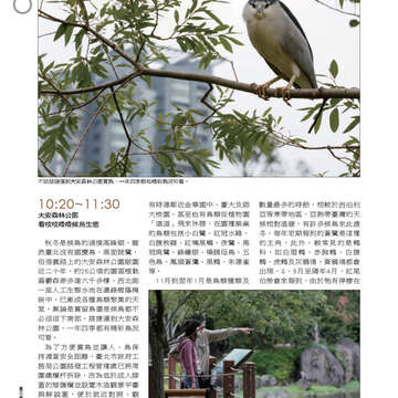 臺北畫刊551期(102年12月)-59