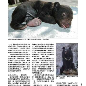 臺北畫刊550期(102年11月)_Page_32