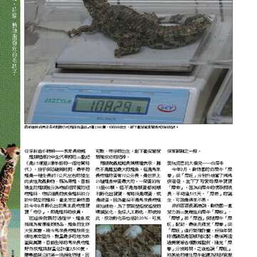 臺北畫刊550期(102年11月)_Page_33
