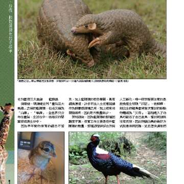 臺北畫刊550期(102年11月)_Page_35