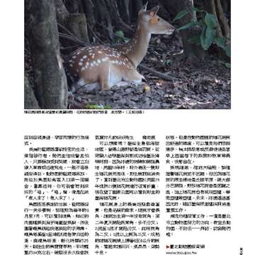 臺北畫刊550期(102年11月)_Page_36