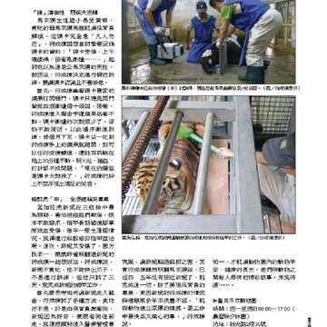 臺北畫刊550期(102年11月)_Page_40