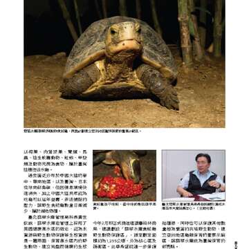 臺北畫刊550期(102年11月)_Page_44