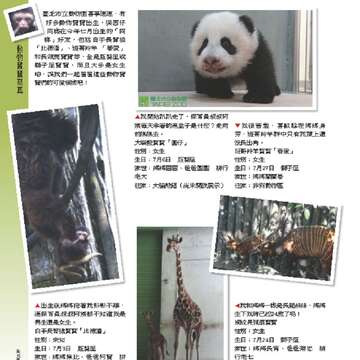 臺北畫刊550期(102年11月)_Page_45