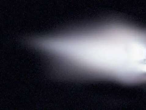 哈雷彗星(圖片來源：臺北市立天文科學教育館)