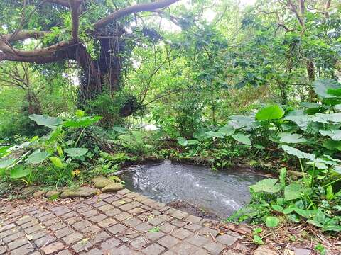 農家生活意象-洗衣池(圖片來源：臺北市政府工務局大地工程處)