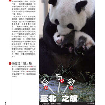 臺北畫刊549期(102年10月)54