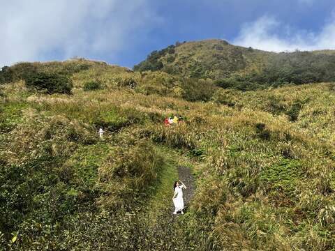 人像加上芒草美景(遠景)(圖片來源:臺北市政府工務局大地工程處)